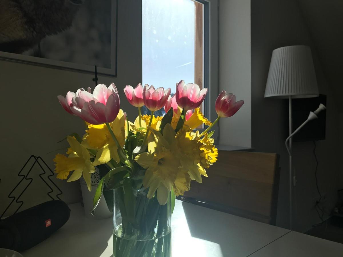 Penzion Kvilda - Lucni Kültér fotó